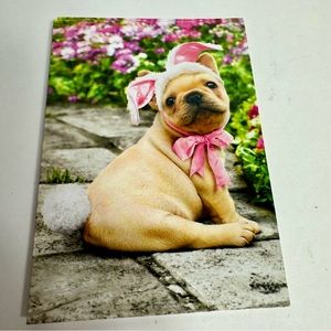 4 Avanti Greeting cards - puppy dog with bunny ears on stone path Easter